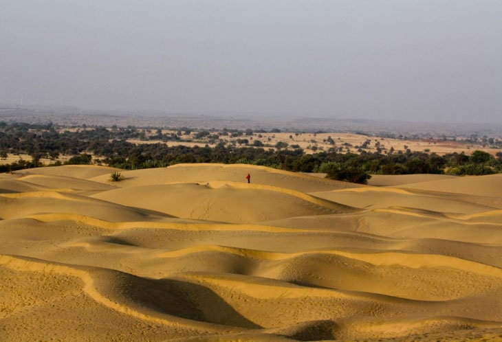 Le désert du Thar, Inde