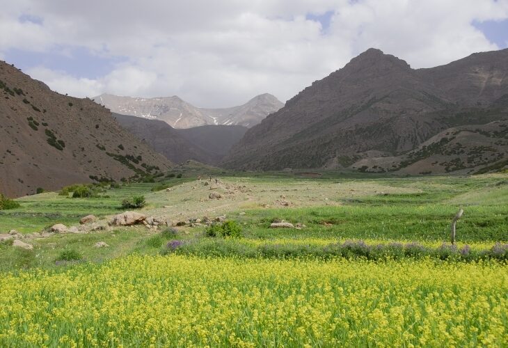 Les vallées verdoyantes dans l'Atlas, Maroc