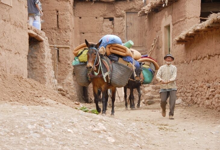 Randonnée muletière dans l'Atlas, Maroc