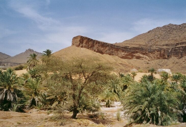 Randonnée chamelière dans l'Erg Chinguetti, Mauritanie