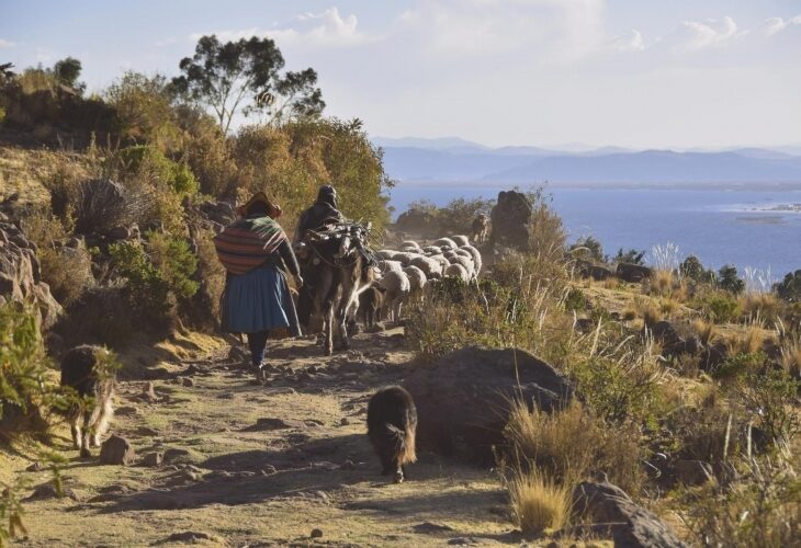 Sur le lac Titicaca, sud du Pérou