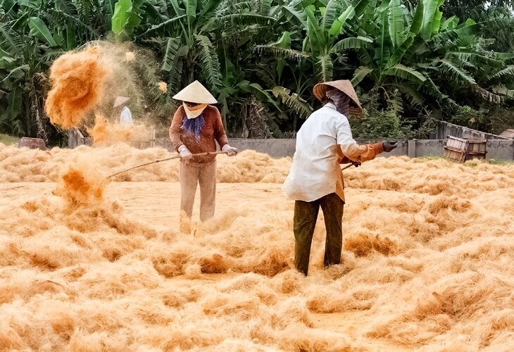 Paysans à Ben Tre