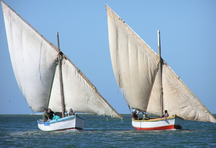 Bateaux à voile