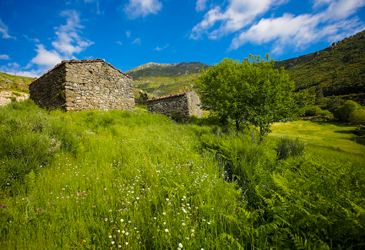 Serra da Estrela