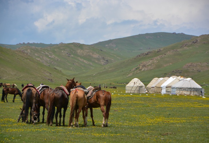 Chevaux et yourtes kirghizes