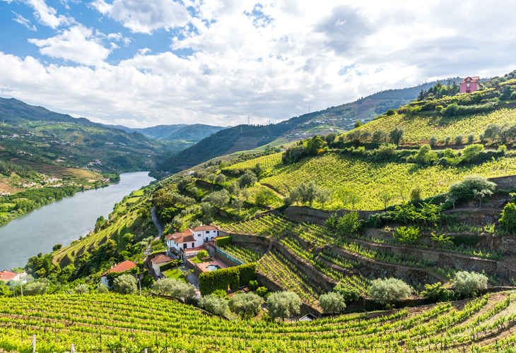 La vallée du Douro au Portugal