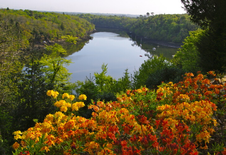 parc-de-boutiguery-vue-sur-l-odet-avec-rhododendron