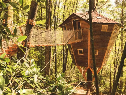 Cabane dans les arbres