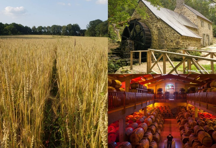 offre-tourisme-equitable-ble-et-sarrazin-de-la-terre-a-l-assiette