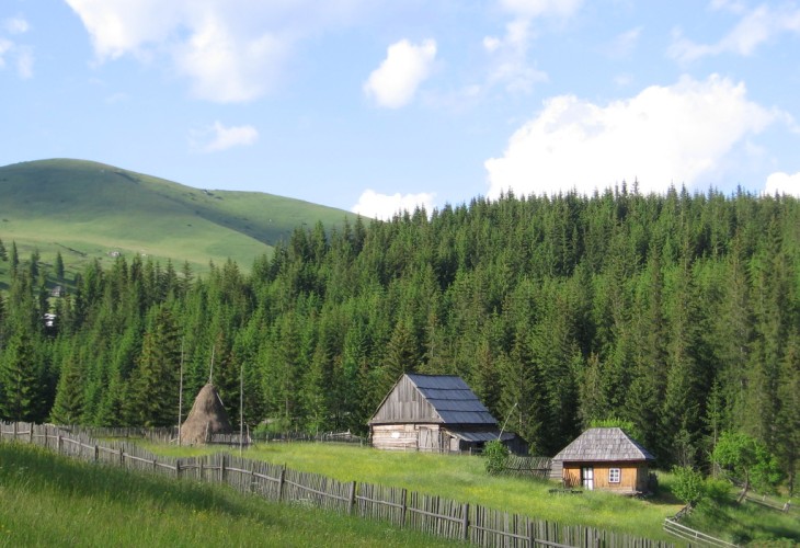 Roumanie-Barnadu-chalet-montagne-alpage-foret