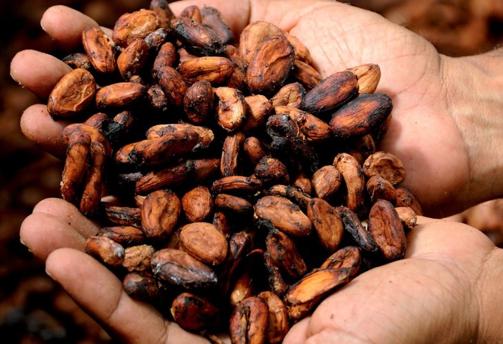 Atelier de cacao et chocolat au Costa Rica